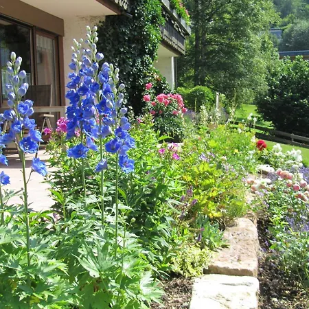 Braun Gartengeschoss Апартаменты